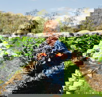 Hillwood Berries Farmgate  Pick Your Own - Accommodation Gold Coast