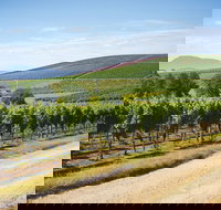 Jansz Tasmania - Accommodation Gold Coast