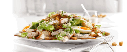 Sumo Salad - Claremont - Gold Coast 4U 0