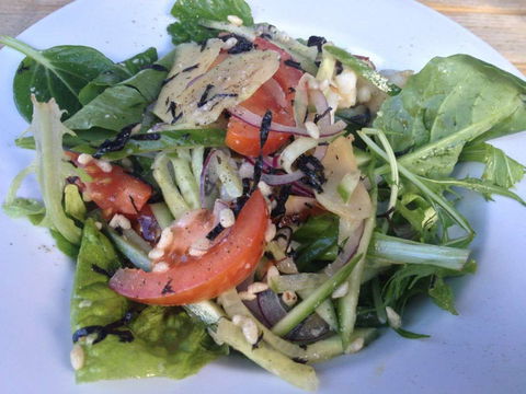 The Purple Carrot - Accommodation Gold Coast 0
