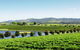 Yarrawood Estate - thumb 2