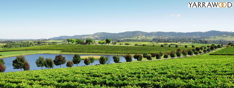 Yarrawood Estate - Accommodation Gold Coast 2