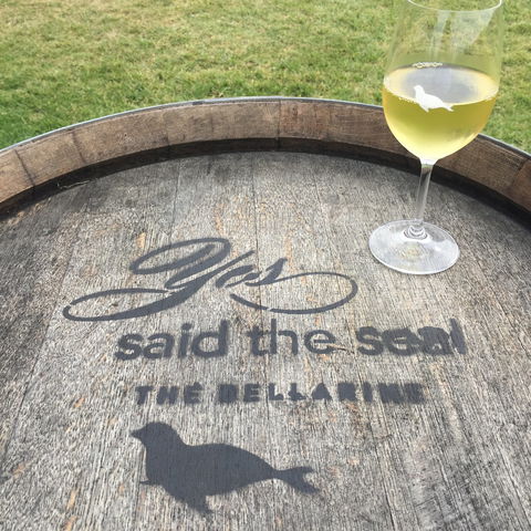Yes Said The Seal - Accommodation Gold Coast 1