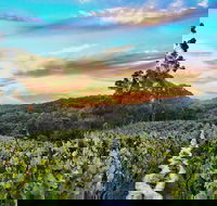 Between the Vines Cellar Door - Gold Coast 4U