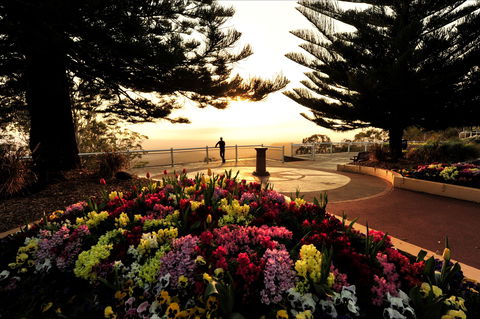 Picnic Point Cafe And Restaurant - Gold Coast 4U 0