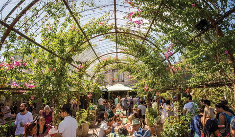 The Grounds Of Alexandria - Gold Coast 4U 2