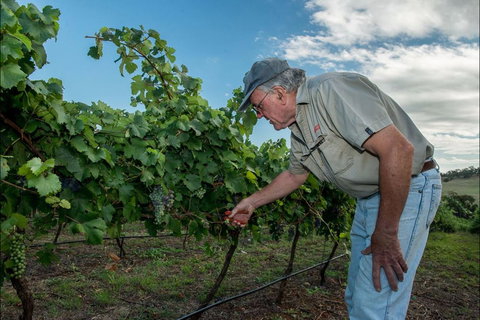 Vale Creek Wines - Accommodation Gold Coast 2