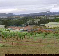 Villa d Esta Vineyard - Accommodation Gold Coast