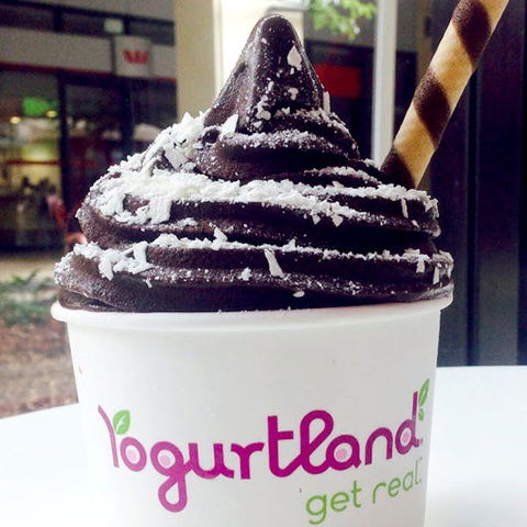 Yogurtland - Prairiewood - Accommodation Gold Coast 0