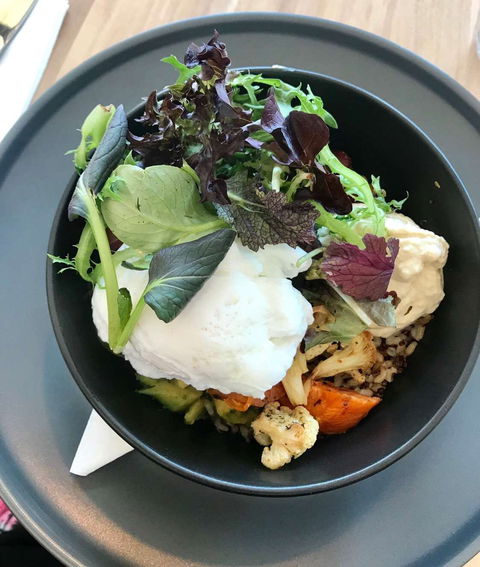 Aniseed Cafe - Accommodation Gold Coast 0