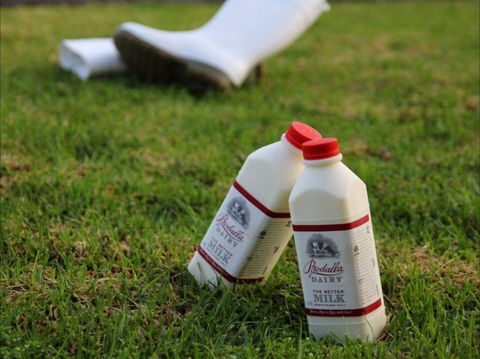 Bodalla Dairy - Cheese, Milk And Ice Cream Factory And Cafe - 1 Gold Coast 0
