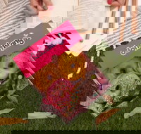 Donut King - Springwood - Accommodation Gold Coast