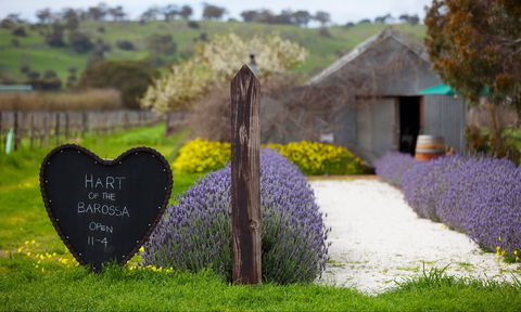 Hart Of The Barossa - Gold Coast 4U 0