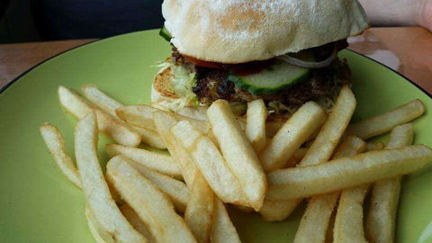 Hungry Wombat Cafe - Accommodation Gold Coast 0