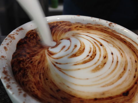 Jaques Coffee Plantation - Gold Coast 4U 1