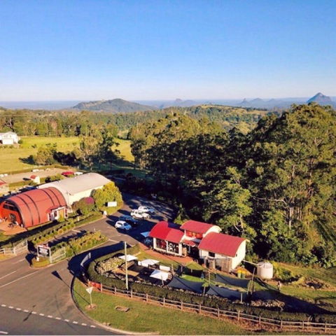 Live Foods Cafe - Gold Coast 4U 0