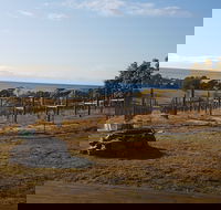 Overtime vineyard - Accommodation Gold Coast