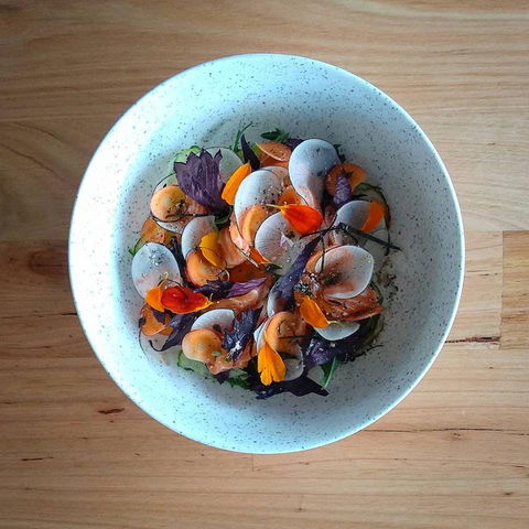 Pachinko - Accommodation Gold Coast 0