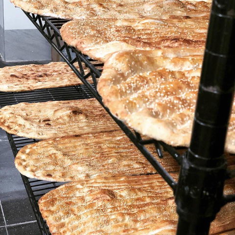 Persian Baker - Gold Coast 4U 0