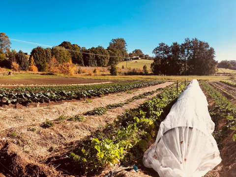 Synchronicity Farm - 1 Gold Coast 0