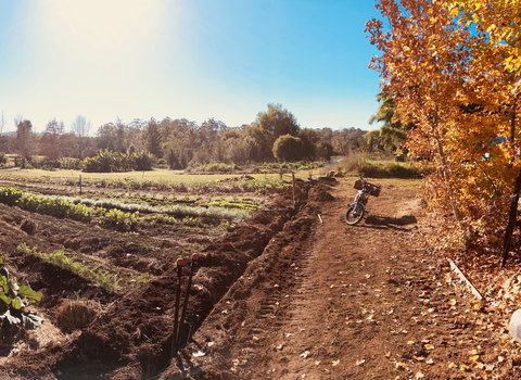 Synchronicity Farm - 1 Gold Coast 1