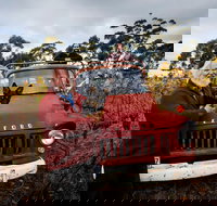 The Shiraz Republic - Accommodation Gold Coast