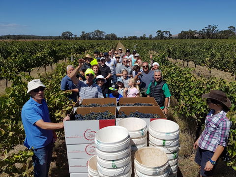 The Shiraz Republic - Accommodation Gold Coast 1