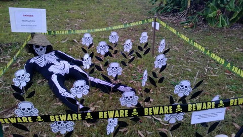 Hillbilly Coffee - Accommodation Gold Coast 0