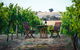 Indigo Vineyard - thumb 1