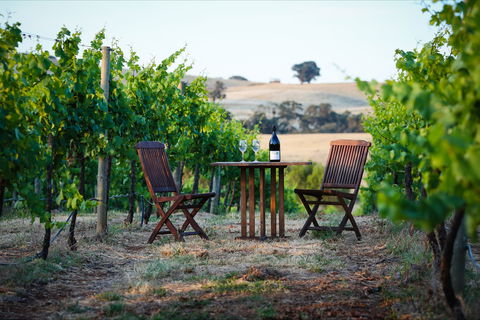 Indigo Vineyard - Gold Coast 4U 1