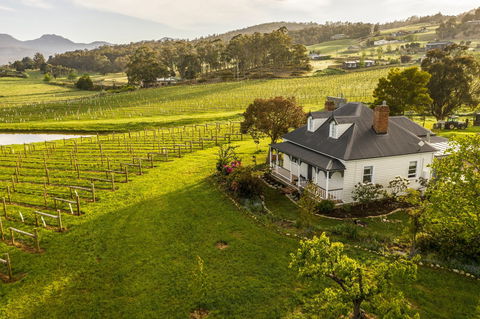 Kate Hill Wines - Accommodation Gold Coast 0