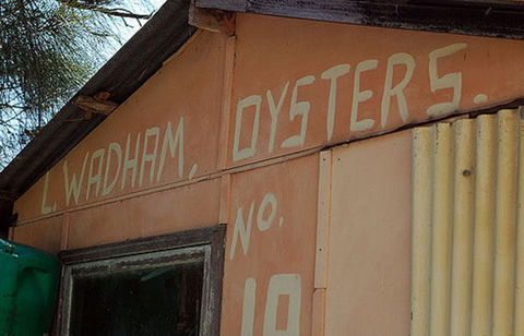 Les Wadham Oysters - Broken Bay Pacific Oysters - Gold Coast 4U 0