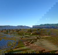 Mistletoe Winery - Accommodation Gold Coast