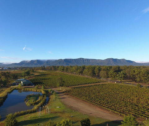 Mistletoe Winery - Accommodation Gold Coast 0