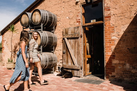Shingleback Wine - Accommodation Gold Coast 1