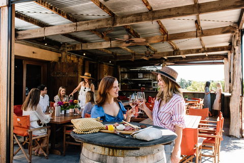 Shingleback Wine - Accommodation Gold Coast 2