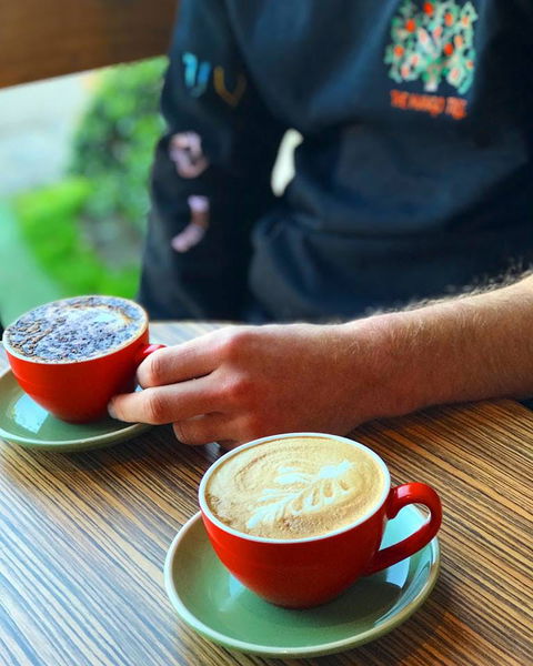 The Mango Tree - Gold Coast 4U 0