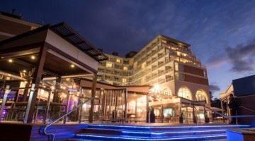 Anchovy - Accommodation Gold Coast 9