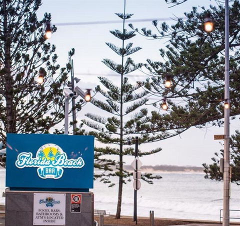 Anchovy - Accommodation Gold Coast 2