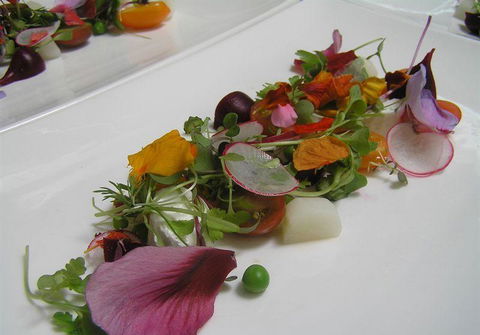 Bluebush Cafe - Accommodation Gold Coast 13