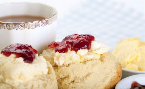 Bluebush Cafe - Accommodation Gold Coast 19