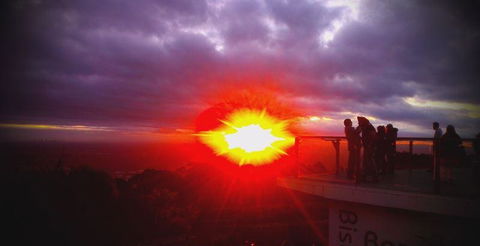 Bluebush Cafe - Accommodation Gold Coast 28