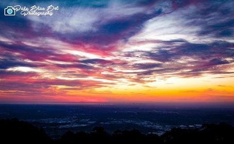 Bluebush Cafe - Accommodation Gold Coast 29