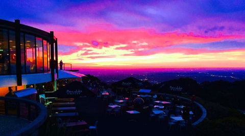 Bluebush Cafe - Accommodation Gold Coast 31