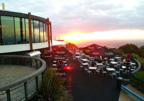 Bluebush Cafe - Accommodation Gold Coast 5