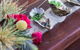 Eat No Evil Street Food And Catering - thumb 7