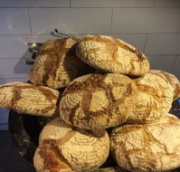 Lady of Ro - Accommodation Gold Coast