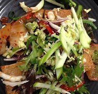 Kingscliff Surf Club - Cudgen Headland SLSC - 1 Gold Coast