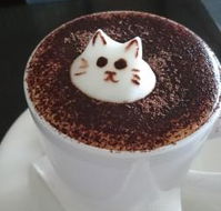Cafe 2340 - Accommodation Gold Coast
