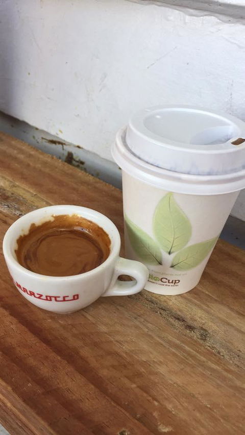 Silky Oak Espresso - Gold Coast 4U 5